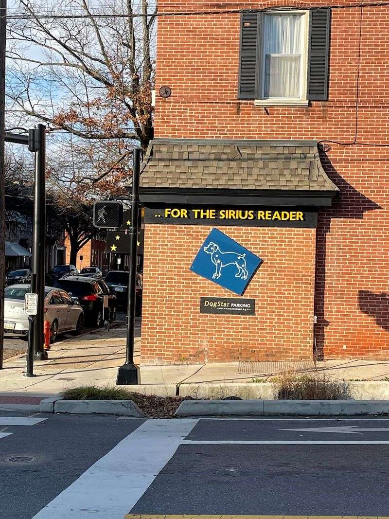 DogStar Books, Lancaster