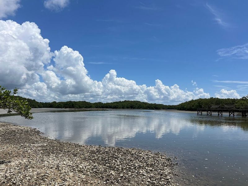 Cedar Key