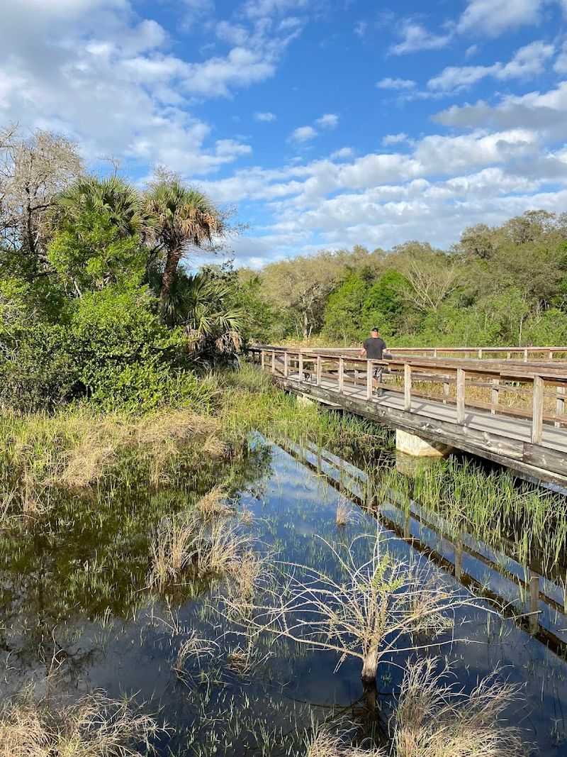 Winding Boardwalks Through Everglades-Style Wetlands Teeming With Wildlife