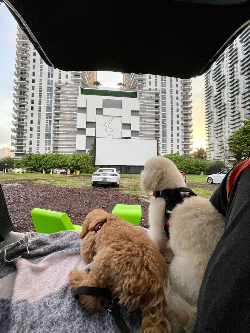 Pet and Family-Friendly Atmosphere