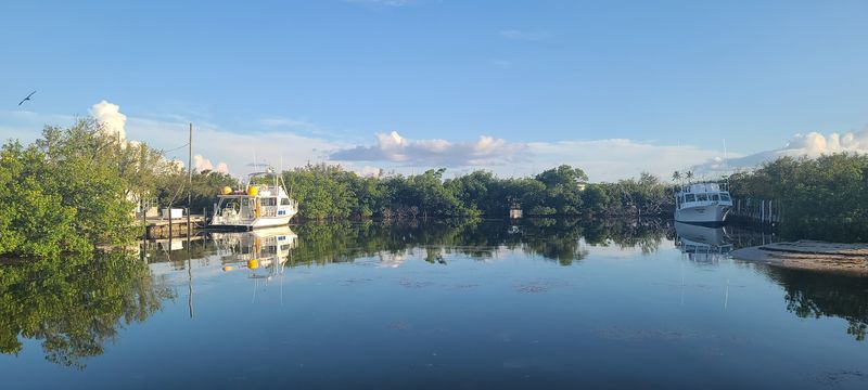 Marina Access And Boating Basics