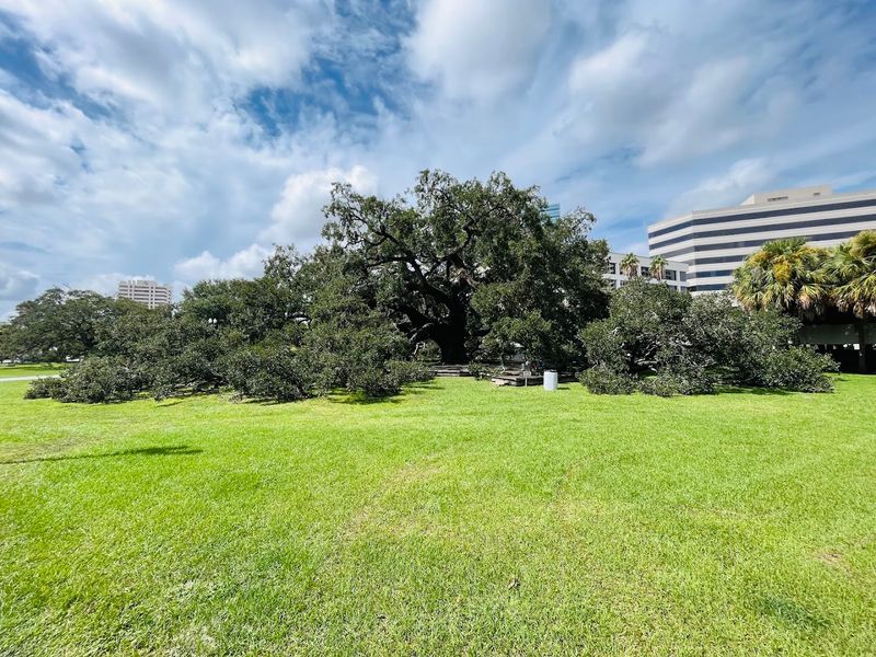 Perfect Downtown Escape For Peaceful Moments