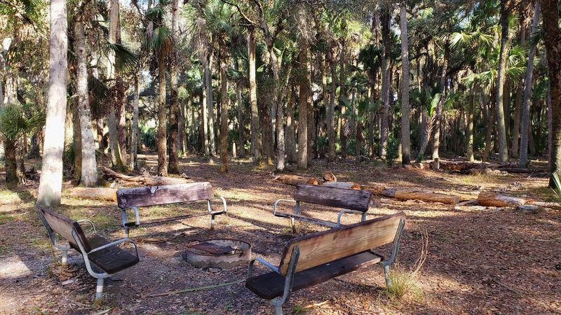 Camping Without the Crowds