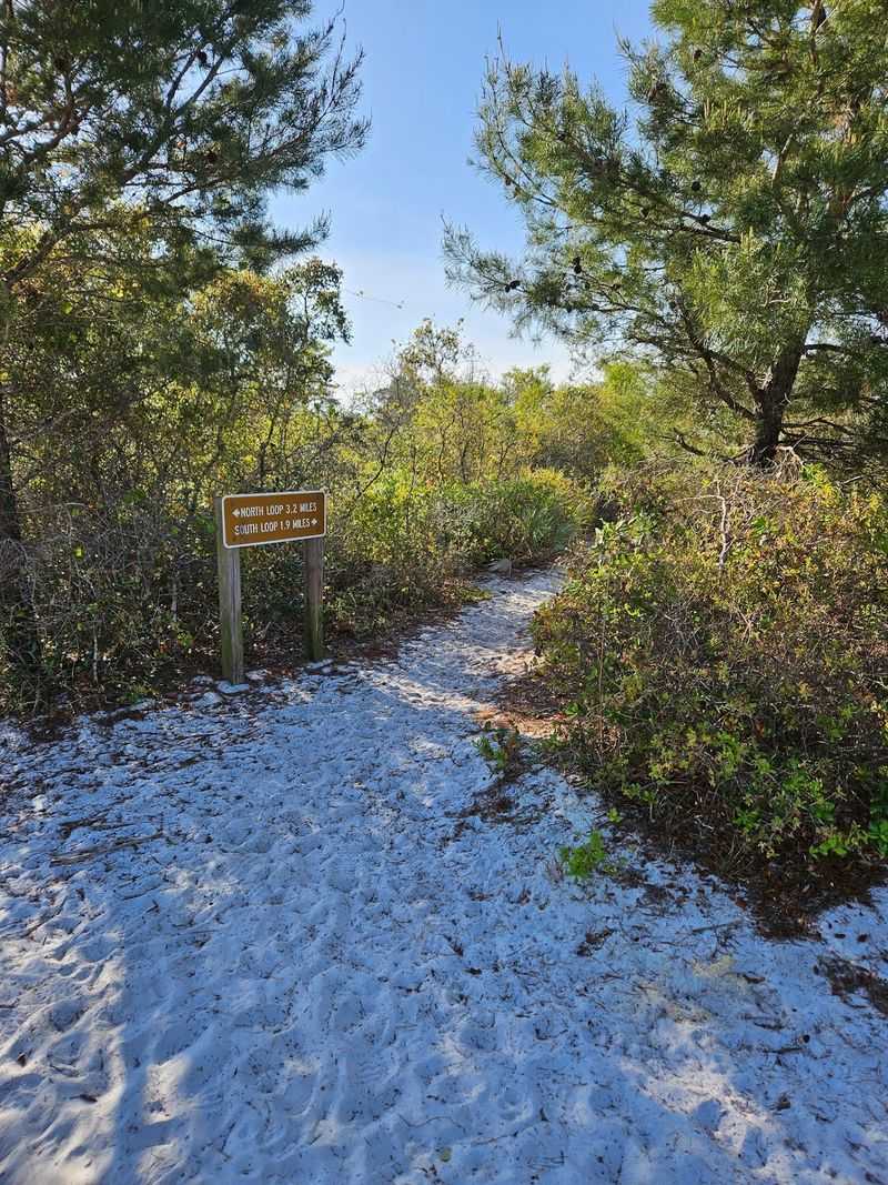 Dog-Friendly Trails With Room to Roam