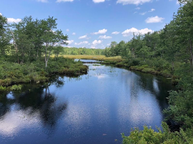 Tobyhanna State Park