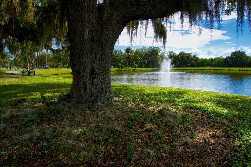 Philippe Park: History Hiding in Plain Sight