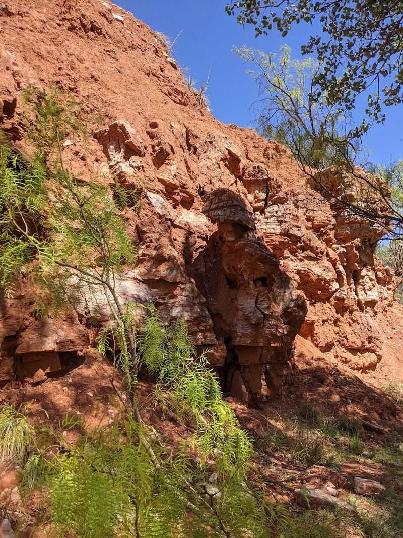 Well-Maintained Facilities Year-Round