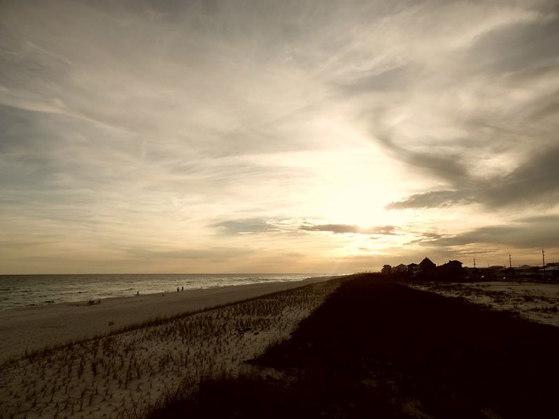 Wild Shoreline at Gulf Islands National Seashore