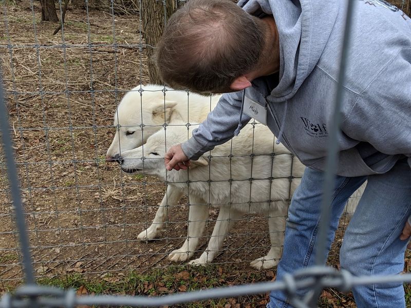 Education And Conservation: What You Learn