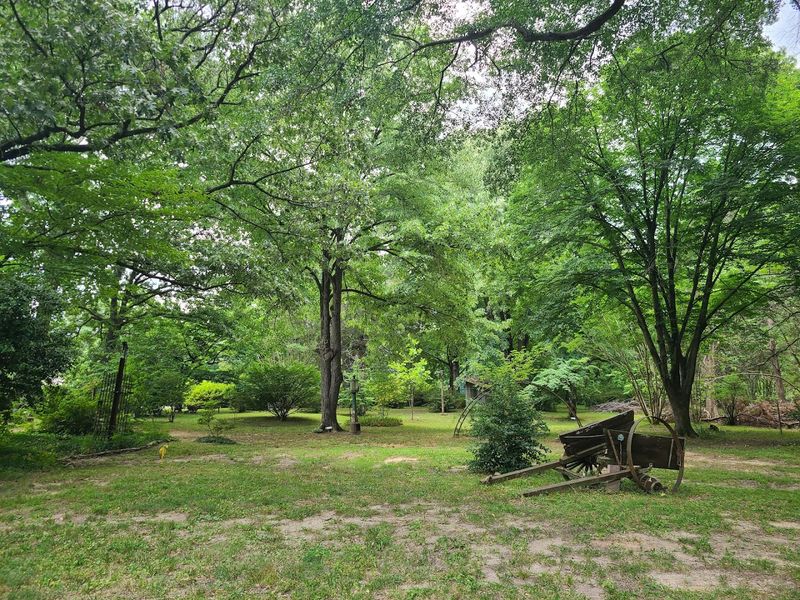 The garden's quiet, slightly rustic character