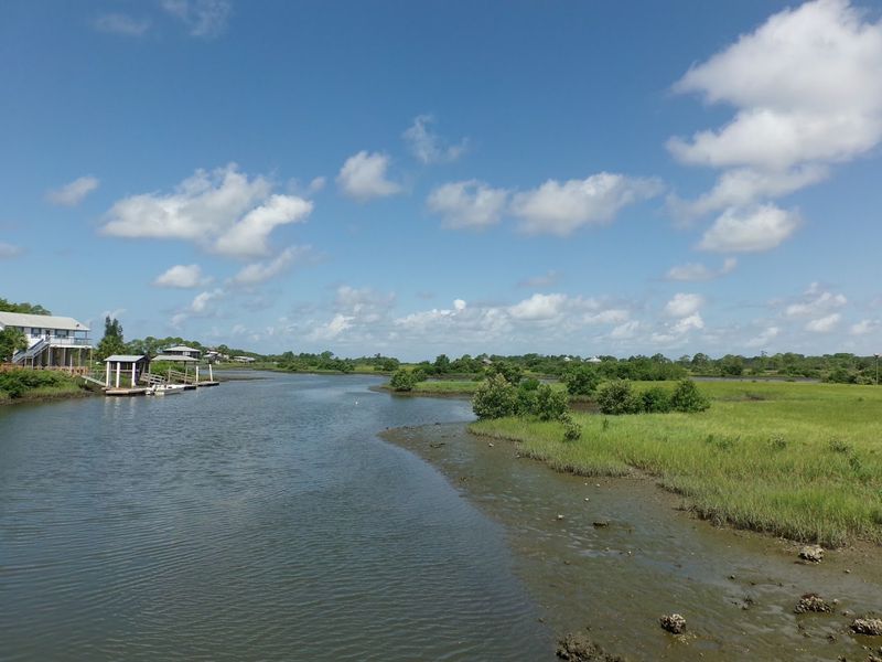 Kayaking Through Mangrove Tunnels Reveals Hidden Wildlife