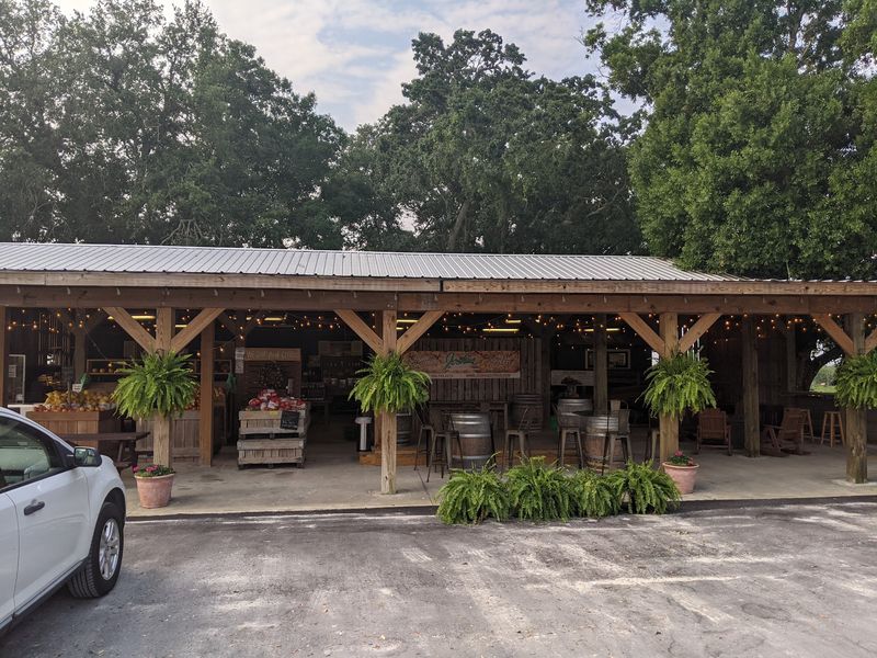 A Relaxing Escape That Feels Like Old Florida
