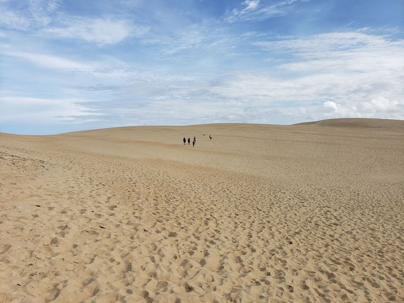 Jockey's Ridge State Park (Nags Head)