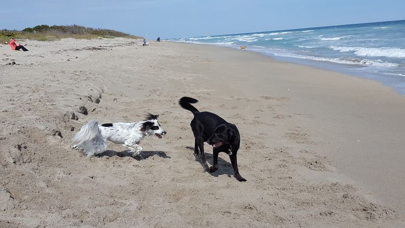Walton Rocks Beach & Dog Park