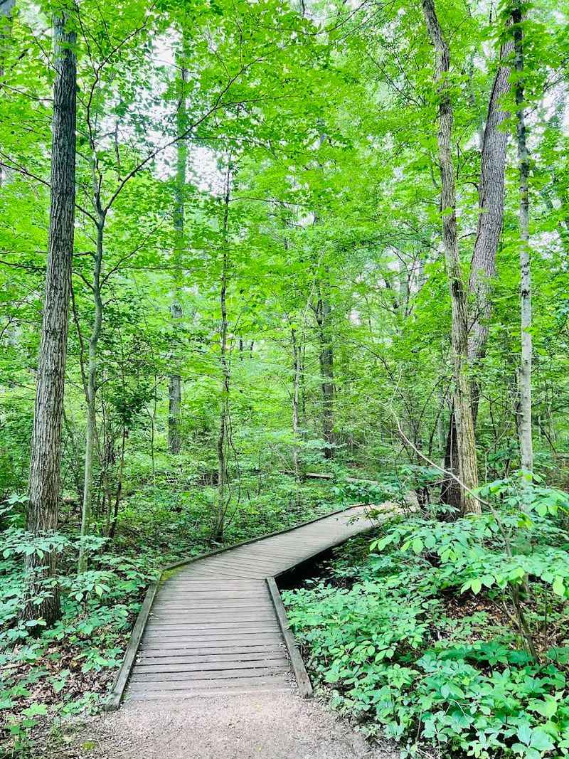 Blacklick Woods, Reynoldsburg, Ohio