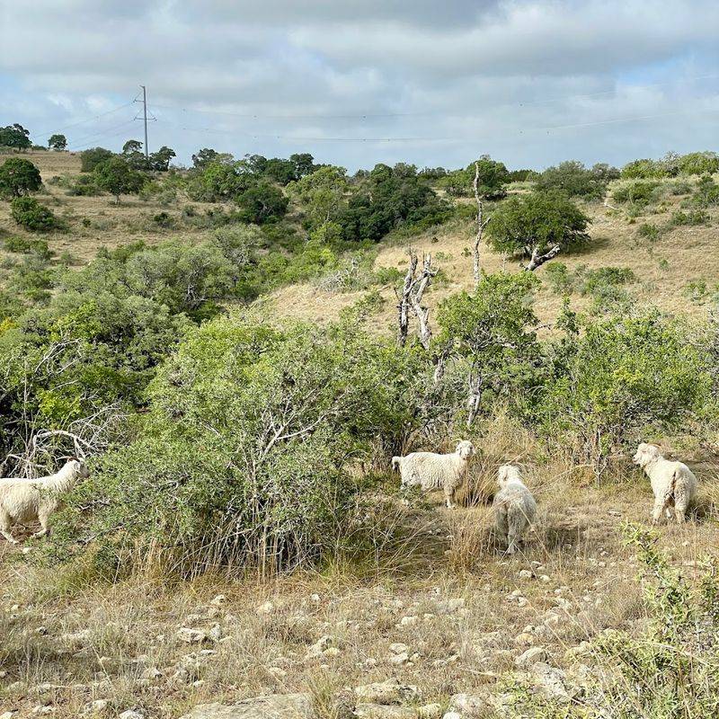 Wildlife Encounters on Every Ride