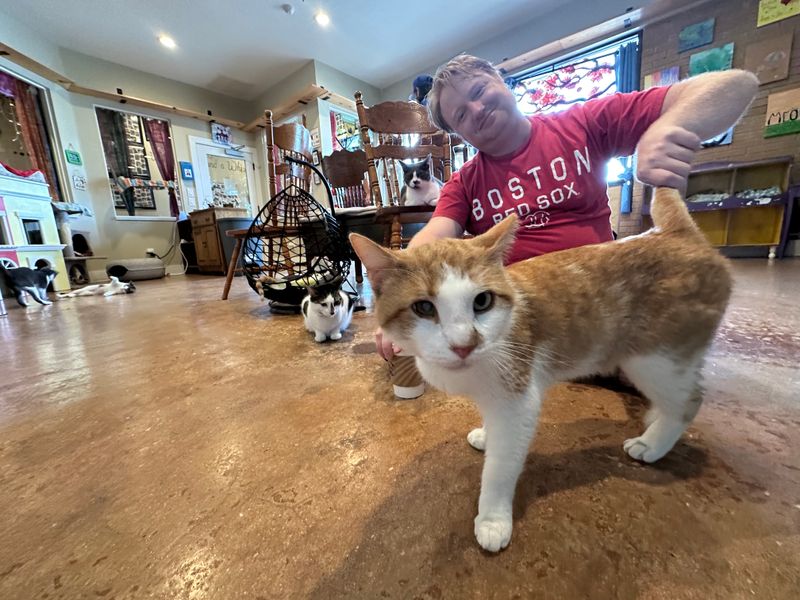 Adoption And Rescue Mission