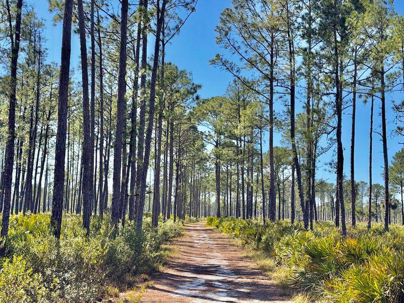 Bike Trails Crisscross The Island