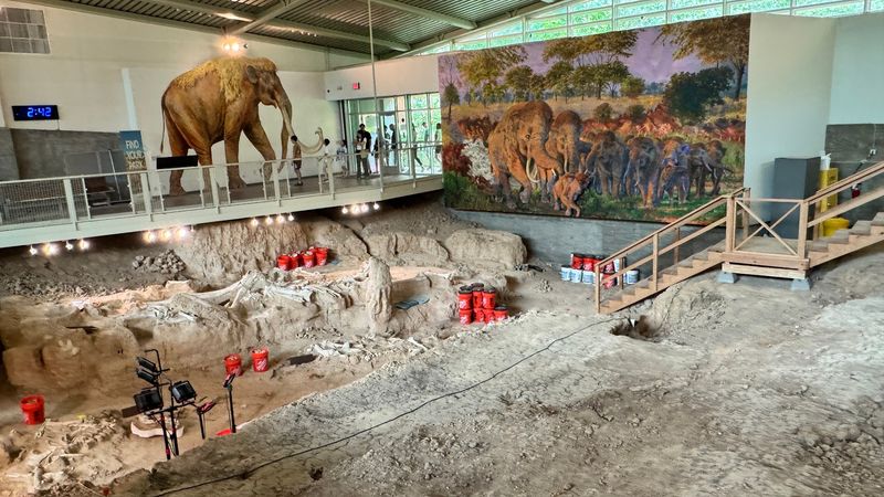 Climate Controlled Dig Shelter