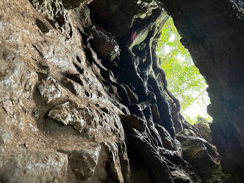 Dames Cave (Withlacoochee State Forest, Citrus County)