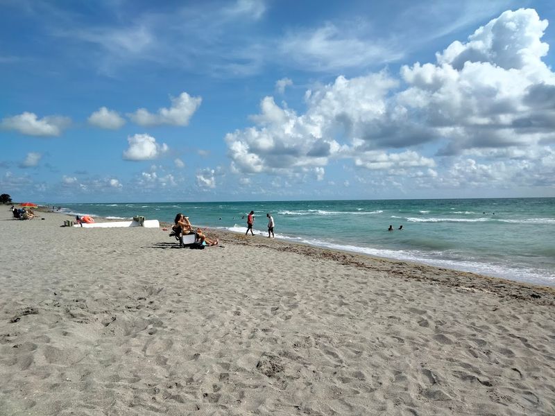 How to Identify Real Shark Teeth