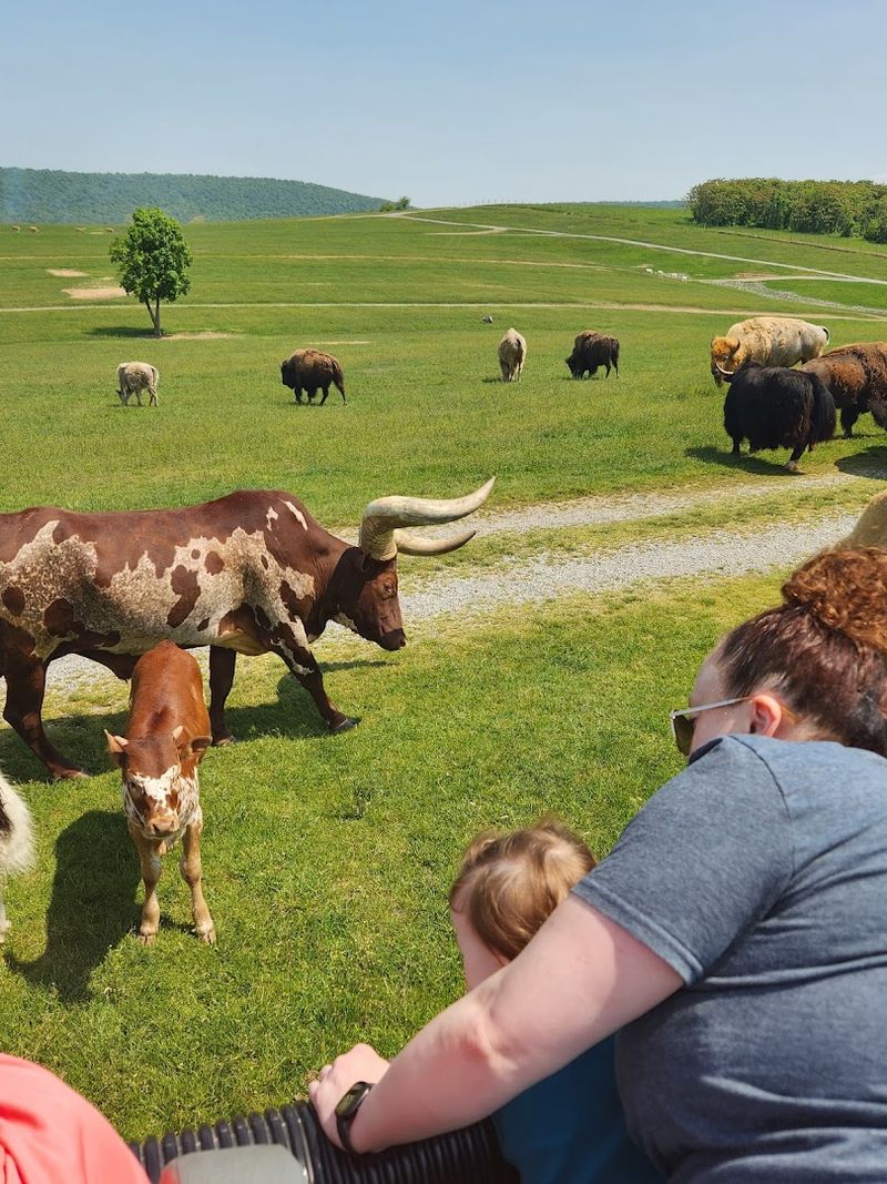 Visitors consistently praise the staff and overall atmosphere