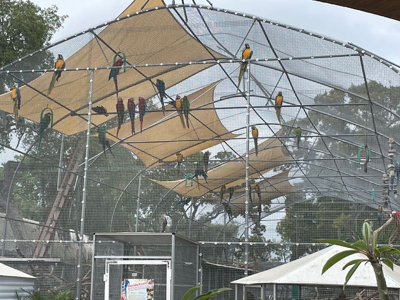 Yes, It Gets Loud—But That's Part Of The Experience