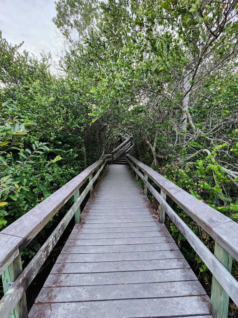 How Pa-hay-okee Compares to Other Park Trails