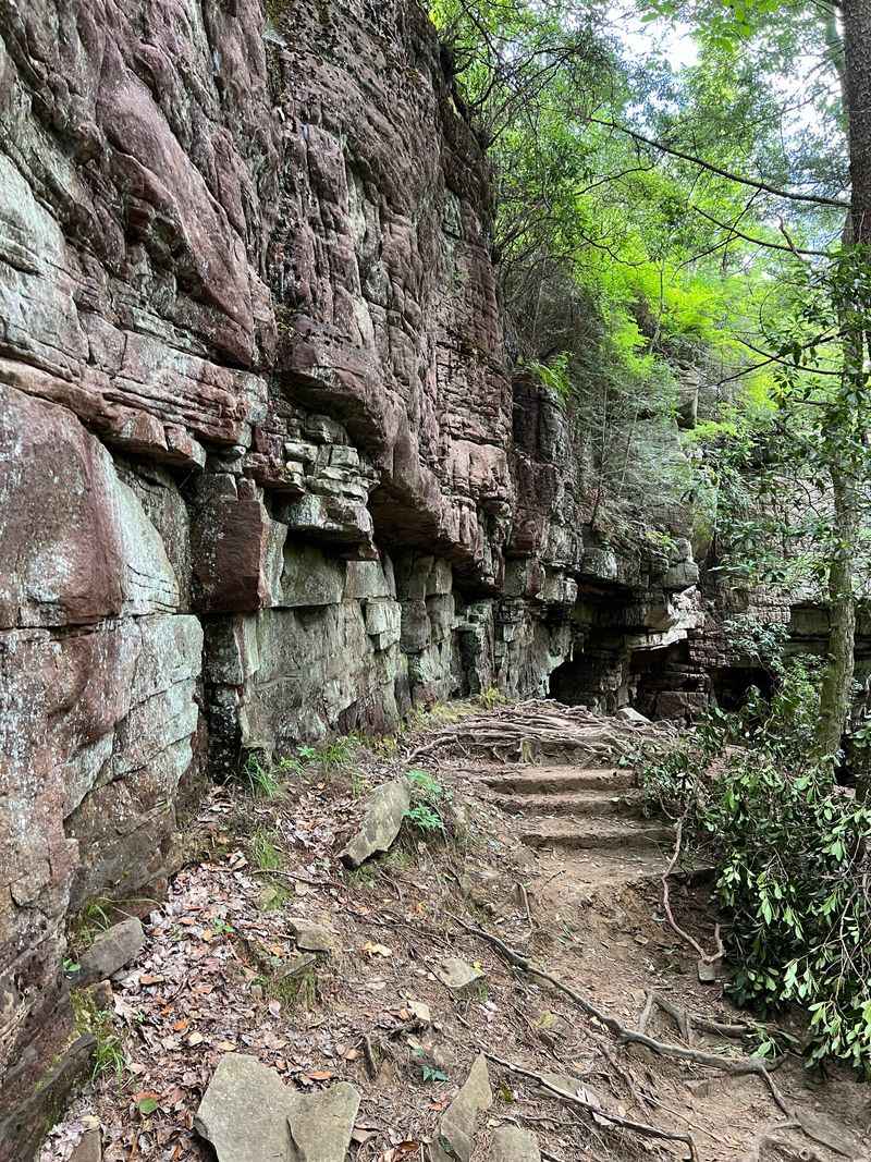 What to Know Before You Go