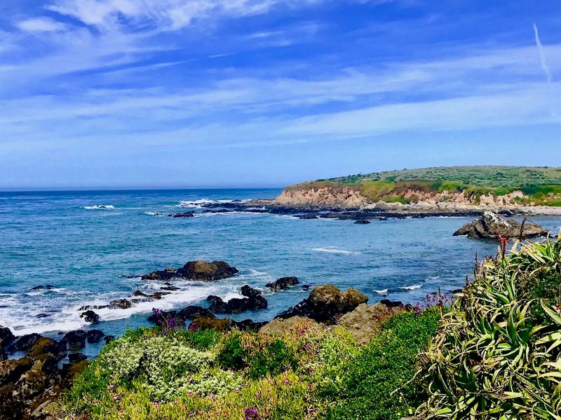 Wildlife and Coastal Beauty