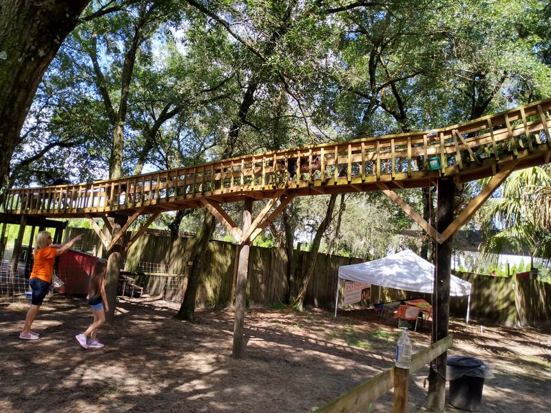 Goats Get Their Own Bridge, And Honestly They Earned It
