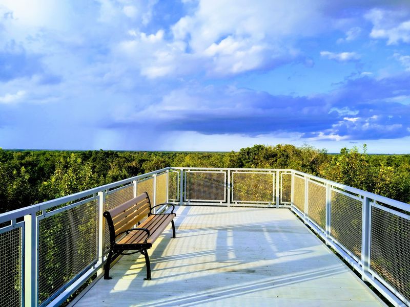 Conservation Concerns Amid Rapid Development