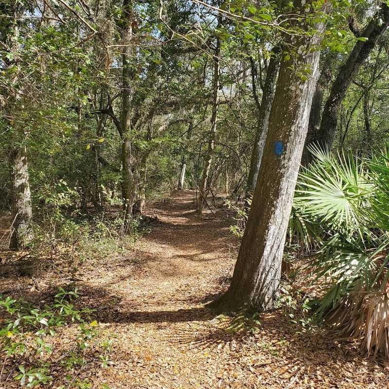 Trails That Actually Feel Wild