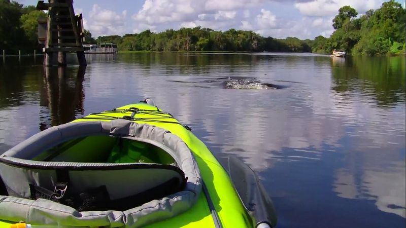 Kayaking the St. Johns River Adds Adventure