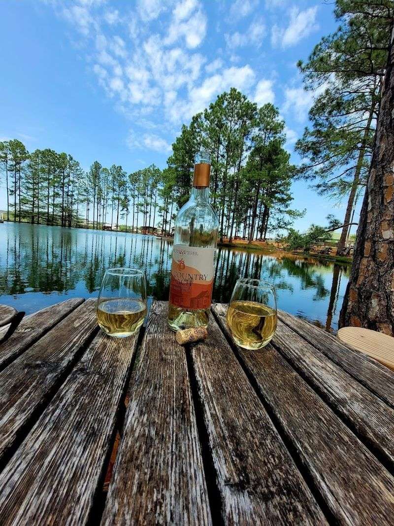 Wine Tastings That Won't Break the Bank