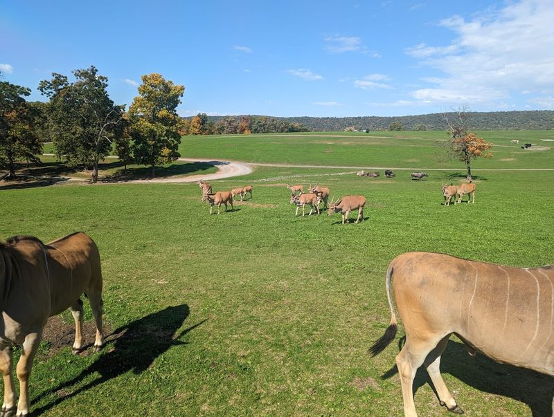 It feels affordable and surprisingly easy to plan