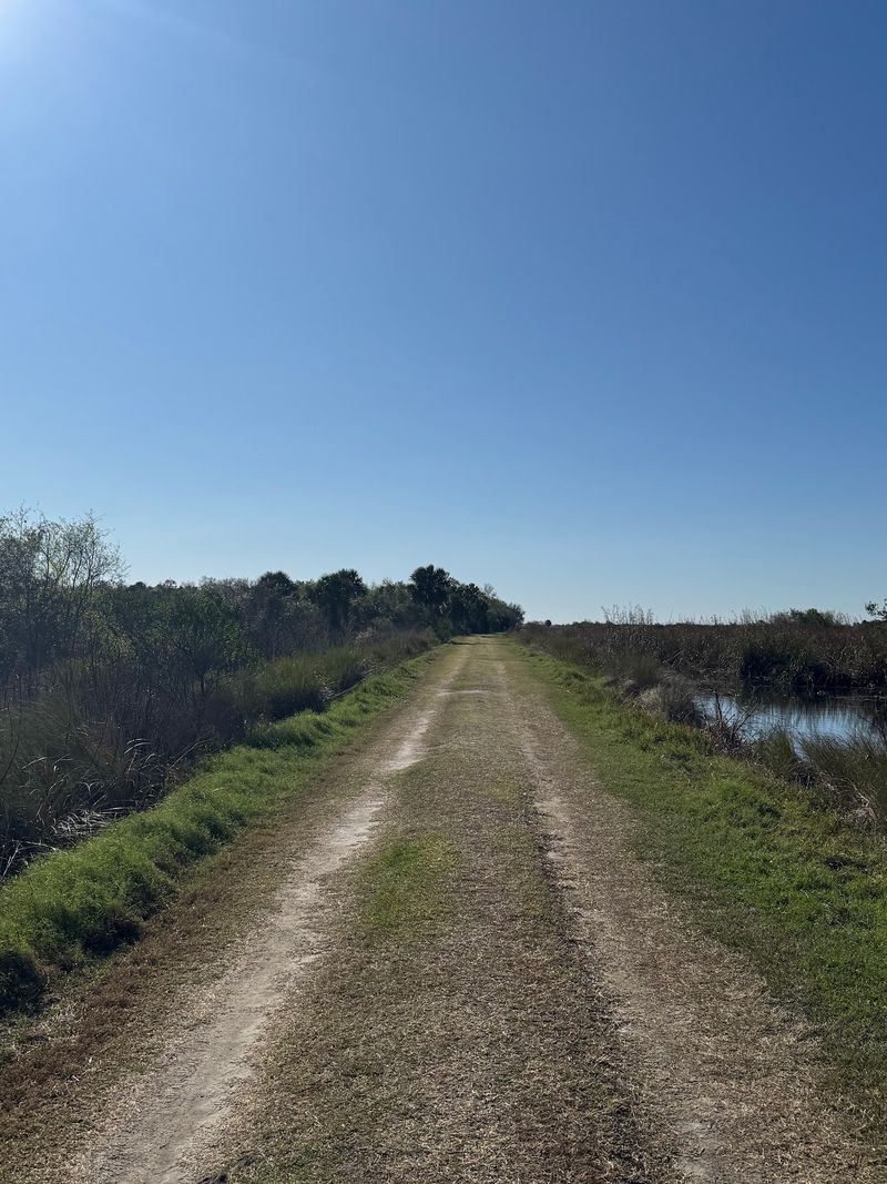 Hammock Hiking Nature Trail (DeLand)
