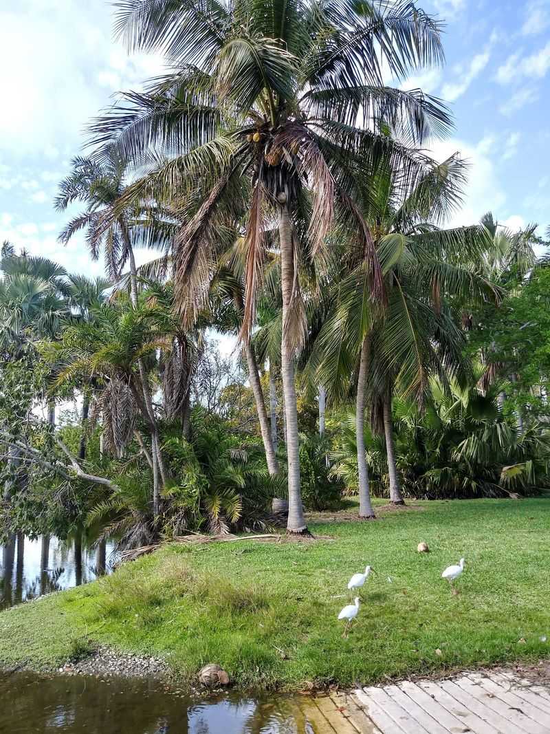 Coastal Habitat Diversity