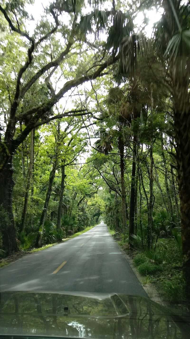 Old Dixie Highway (Ormond Beach)