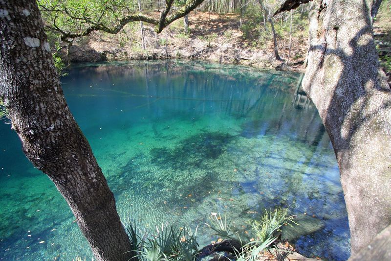 Hammock Sink: The Blue-Water Beauty Half a Mile In
