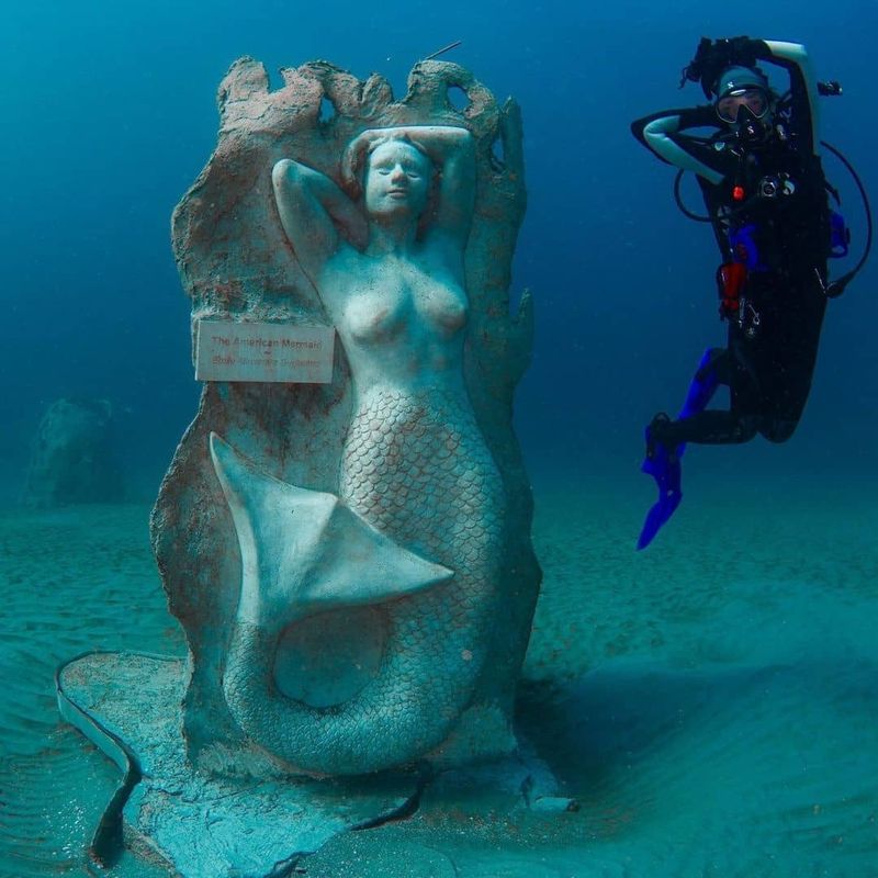 What Exactly Is the 1,000 Mermaids Artificial Reef
