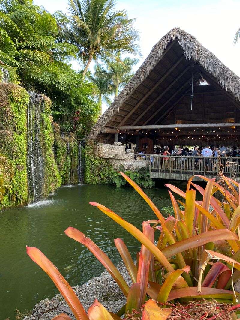 Star Fruit Sparkle and Patio Vibes