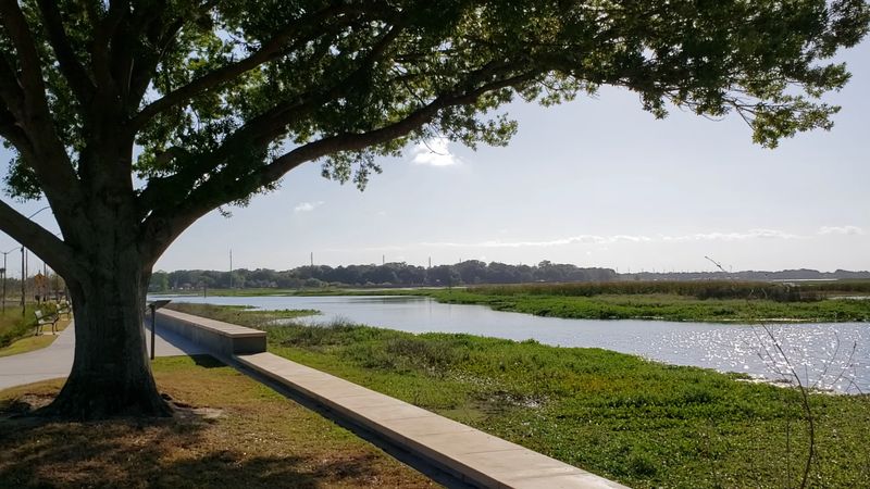 Family-Friendly Parks That Make Lake Days Easy