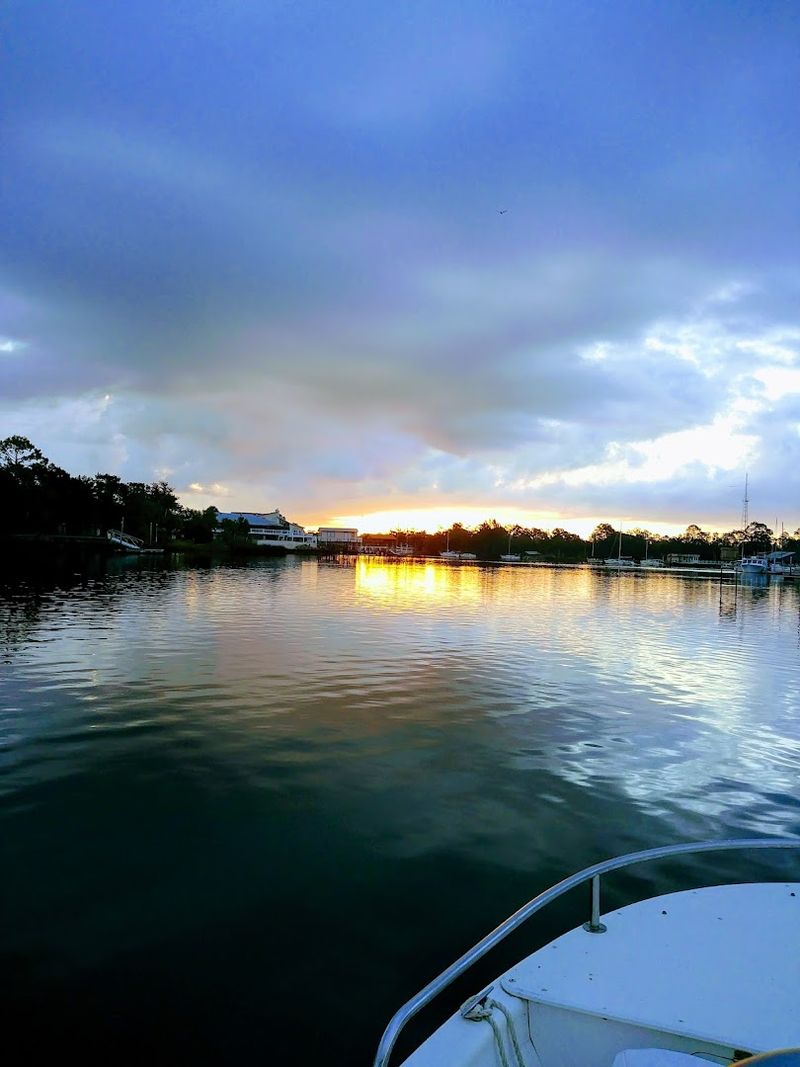 Why People Keep Returning to Steinhatchee Year After Year