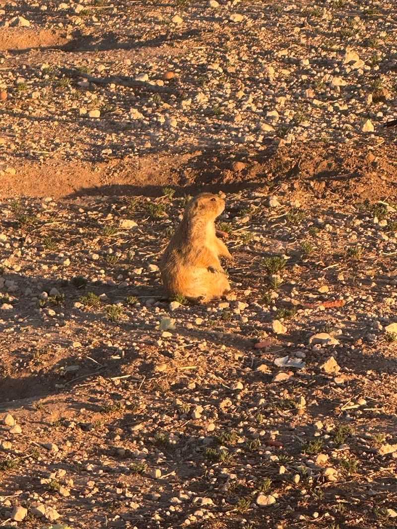 It's Free and Open Nearly All Day