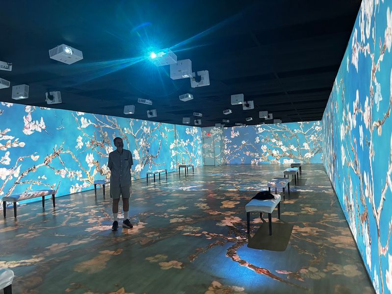 Audio Tour and QR Code Deep Dives