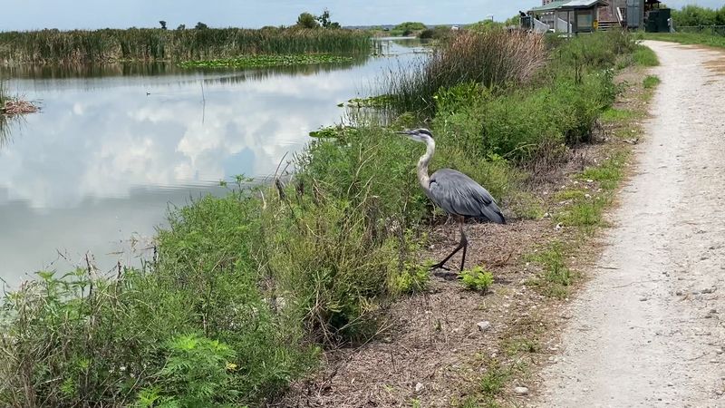 Three Hundred Sixty-Nine Bird Species Recorded