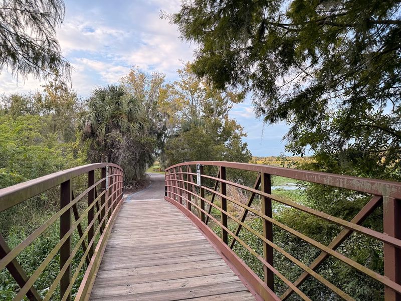 Lakeside Walking Trails Through Natural Beauty