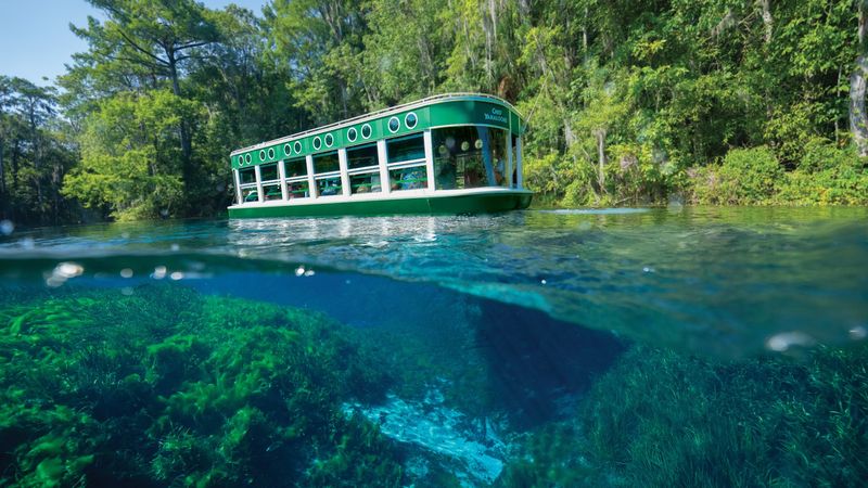 Glass-Bottom Boat Tours at Silver Springs State Park