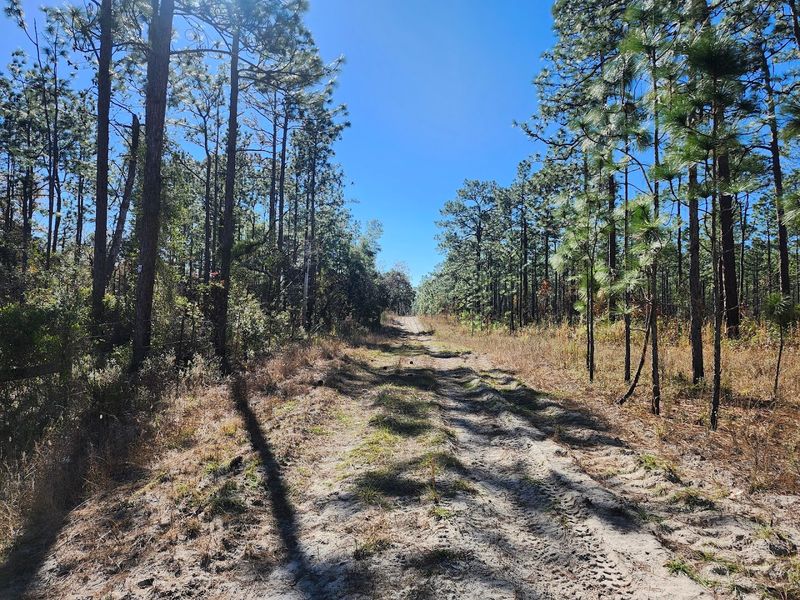 Mountain Biking and Equestrian Trails